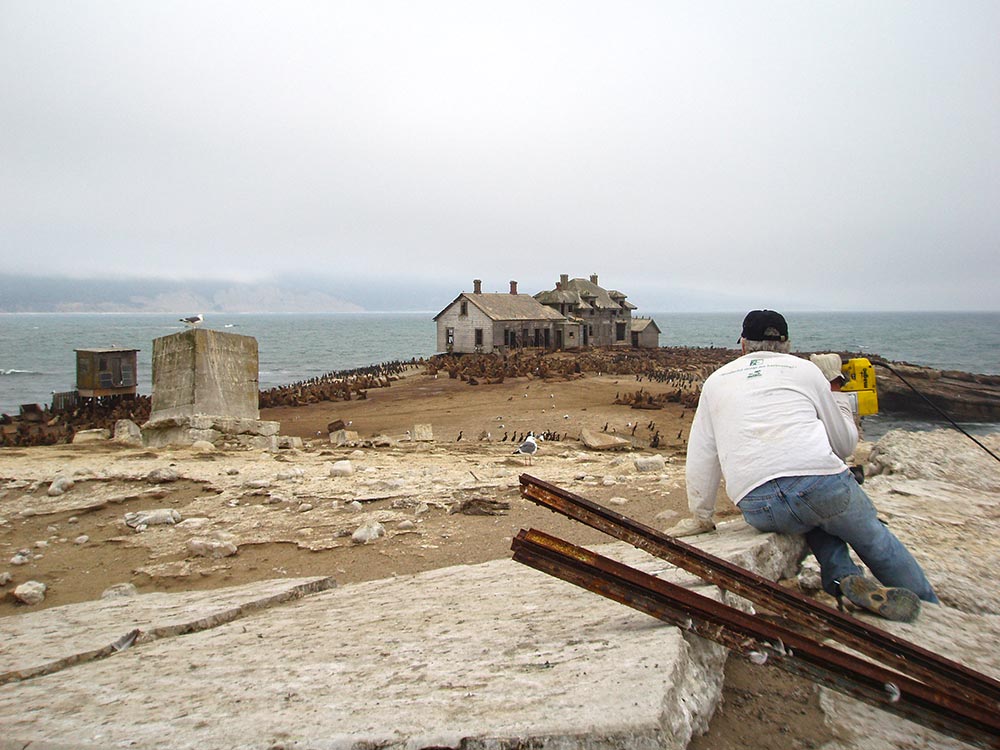Año Nuevo Island erosion control and habitat restoration project