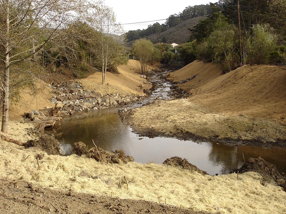 San Pedro Creek and Pacifica State Beach habitat restoration project