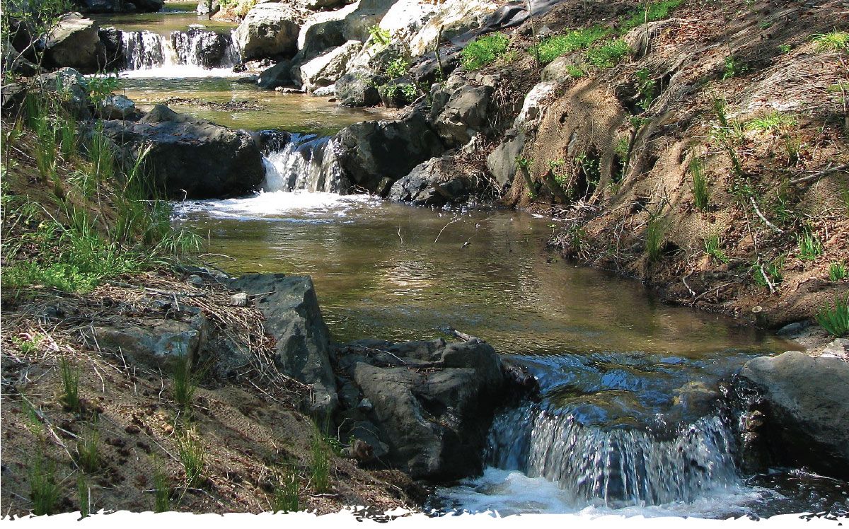 creek habitat restoration